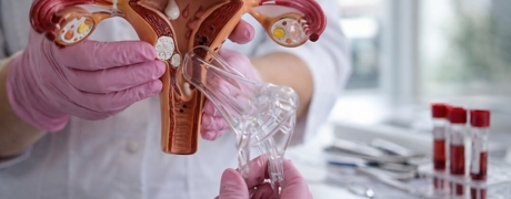 Visitar la promoción de Papanicolau cervicouterino